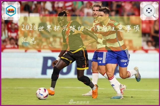 2026世界杯买球的心得与注意事项汇总