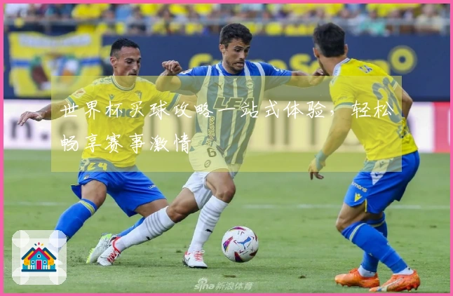 世界杯买球攻略一站式体验，轻松畅享赛事激情