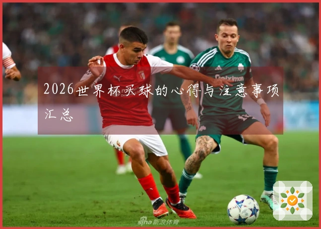 2026世界杯买球的心得与注意事项汇总