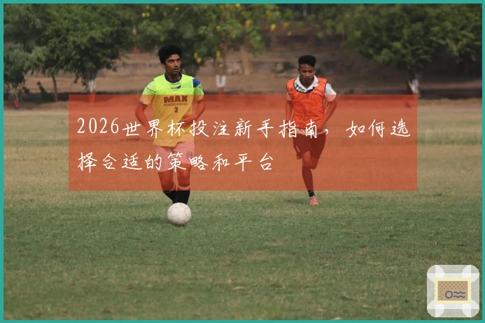 2026世界杯投注新手指南，如何选择合适的策略和平台
