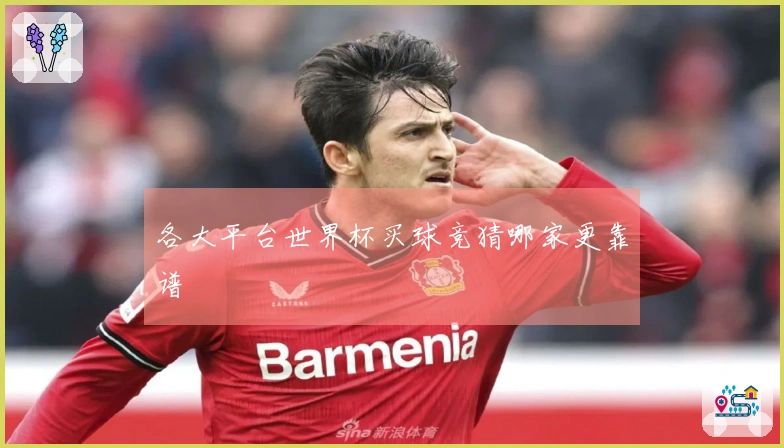 各大平台世界杯买球竞猜哪家更靠谱