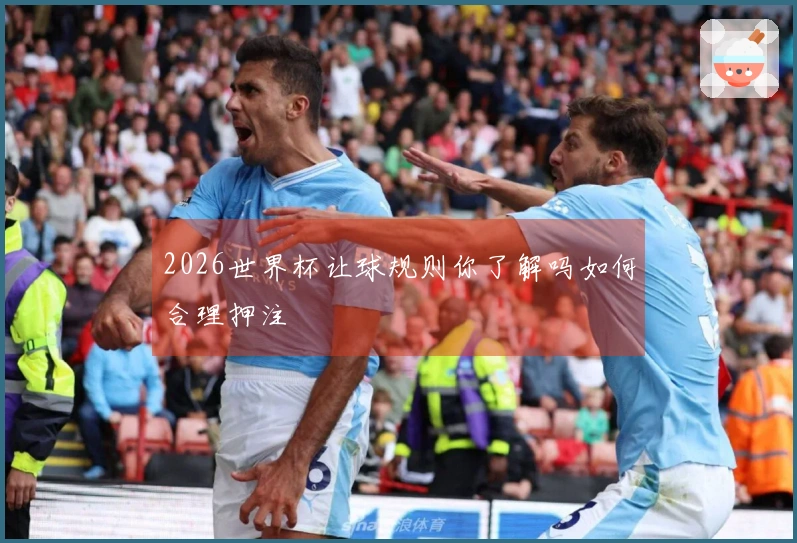 2026世界杯让球规则你了解吗如何合理押注